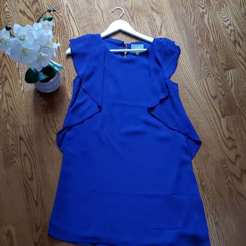 NWOT Skies are blue dress